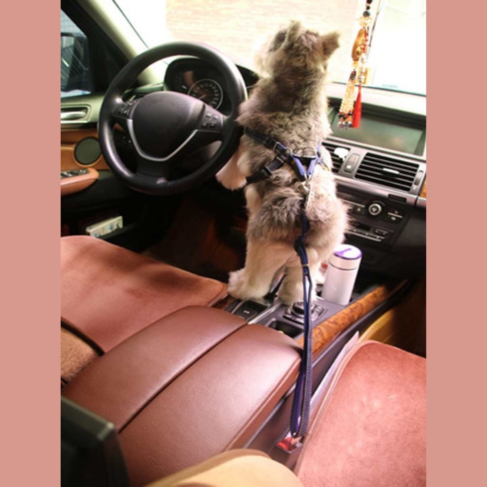 Denim Pet Car Seat Belt
